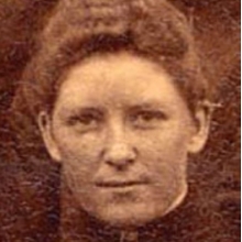 المینا ویلسون، اولین بانوی مهندس سازه