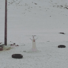 عکسهای Vali.zare