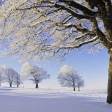 عکس‌های zarneshani187@yahoo.com