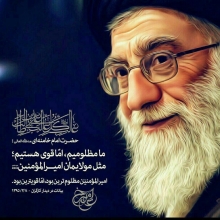 عکس‌های lisans bikar