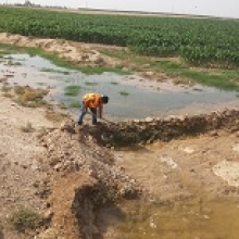 احسان کرمی