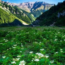 عکس‌های rls.habibi