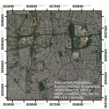 عکسهای AhmadArdakani