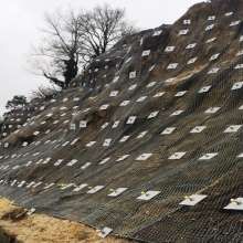 عکس‌های hajix