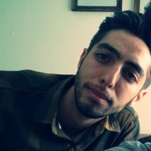 ali sheikhbabaei
