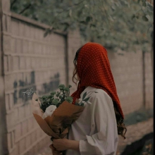 عکس‌های z_fl80