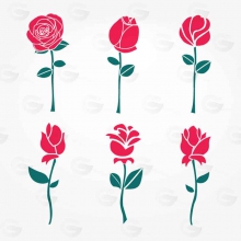 عکس‌های soheila.sh