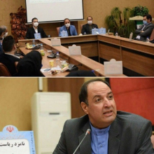 سید محسن هاشمی سانیج