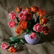 عکس‌های marsenginersatyengsah