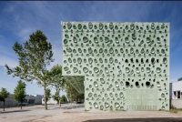 موسسه علوم و فناوری برای Biosustainability