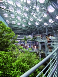 ساختمان آکادمی علوم ایالت سانفرانسیکو آمریکا-رنزو پیانو(پروژه4)