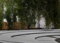 طبیعت فرار داستان شهری-کنگو کوما(پروژه19)