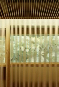 جین می میرند در فوجی موری-کنگو کوما(پروژه36)