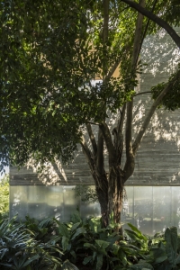 Casa Cubo-مارسیو کوگان(پروژه16)