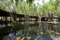 wNw Cafe / Vo Trong Nghia