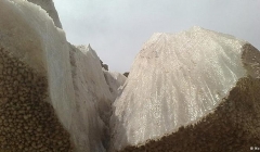 اطلاعیه سازمان محیط زیست درباره فاجعه سد گتوند؛ کارفرما اطلاعات ناقص به دولت داده بود