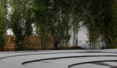 طبیعت فرار داستان شهری-کنگو کوما(پروژه19)