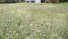 محل اقامتTsai -آی وی‌وی(پروژه4)