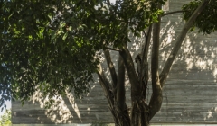 Casa Cubo-مارسیو کوگان(پروژه16) Casa Cubo-مارسیو کوگان(پروژه16)