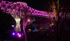 پل طبیعت تهران 