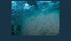 مقاله تحلیلی: کاربرد AI در حفاظت از منابع آب مقاله تحلیلی: کاربرد AI در حفاظت از منابع آب