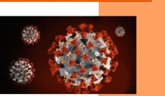 راهنمای جلوگیری از شیوع ویروس کرونا در کارگاههای ساختمانی راهنمای جلوگیری از شیوع ویروس کرونا در کارگاههای ساختمانی