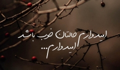 امیدوارم حالتان خوب باشد، امیدوارم...