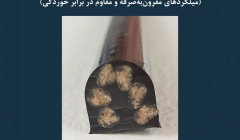 مقاله تحلیلی: میلگردهای کنفی- میلگردهای مقرون به صرفه و مقاوم در برابر خوردگی مقاله تحلیلی: میلگردهای کنفی- میلگردهای مقرون به صرفه و مقاوم در برابر خوردگی