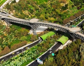 بازدید از پل طبیعت