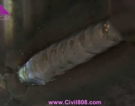 ویدیو چند قسمتی اموزش ساخت یک میز کار و وسائل فولادی با ورق های الومینیومی با تکنیک های دقیق جوشکاری TIG و MIG از سری welding tips and tricks بخش دوم