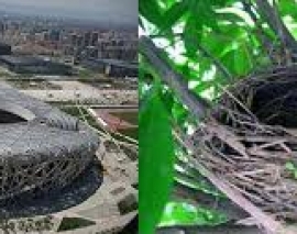 معماری بایونیک و ایده ی شکل گیری آن