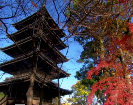 راز پشت طراحی ساختمان های پاگودا