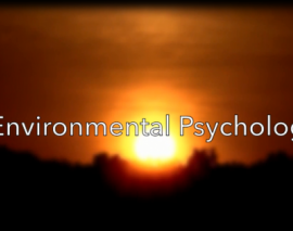 روانشناسی محیط 