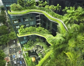 معماری سبز (زیرنویس فارسی) معماری سبز (زیرنویس فارسی)