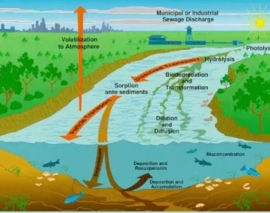 وبینار آشنایی با WASP، ابزار ارزیابی آب و توفان