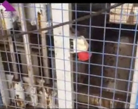 دستگاه تولید بلوک های آماده ساختمانی با اسلامپ بتن بسیار پایین و استحکام بالا