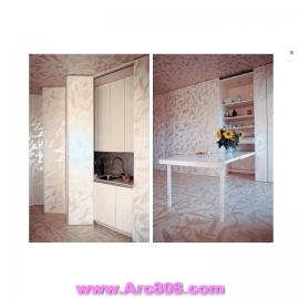 21st Century Architecture Apartment Beth Browne 2011 part 1