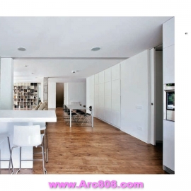 21st Century Architecture Apartment Beth Browne 2011 part 1