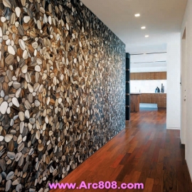 21st Century Architecture Apartment Beth Browne 2011 part 2