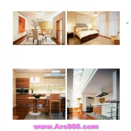 21st Century Architecture Apartment Beth Browne 2011 part 2