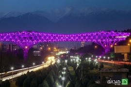 پل طبیعت تهران 