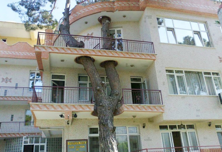 یازده ساختمان‌سازی هوشمندانه که بخاطرشان درختی قطع نشد!