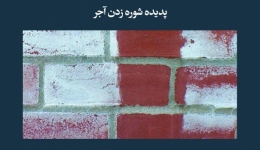 مقاله تحلیلی: پدیده شوره زنی آجر