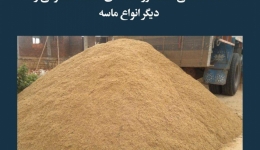 مقاله تحلیلی: ماسه معدنی، ماسه رودخانه‌ای، ماسه مصنوعی و دیگر انواع ماسه