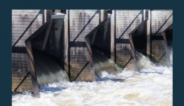 مقاله تحلیلی:‌ کنترل سیلاب در می سی سی پی