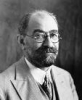 محسن فروغی، Mohsen Foroughi