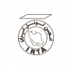 انجمن تونل ایران