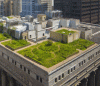 بام سبز، Green Roof