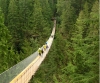 پل معلق، Suspension Bridge