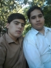 عکس‌های arch97